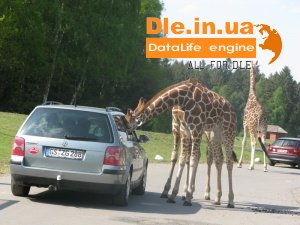 DataLife Engine v.8.2 Final Release