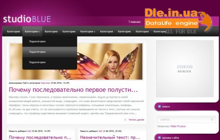 StudioBlue -     WordPress