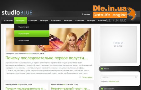 StudioBlue -     WordPress