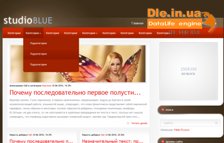 StudioBlue -     WordPress