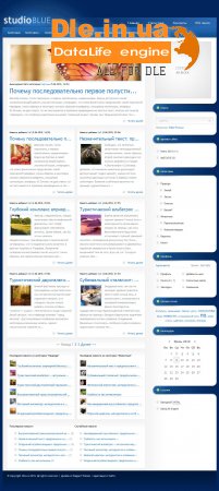 StudioBlue -     WordPress